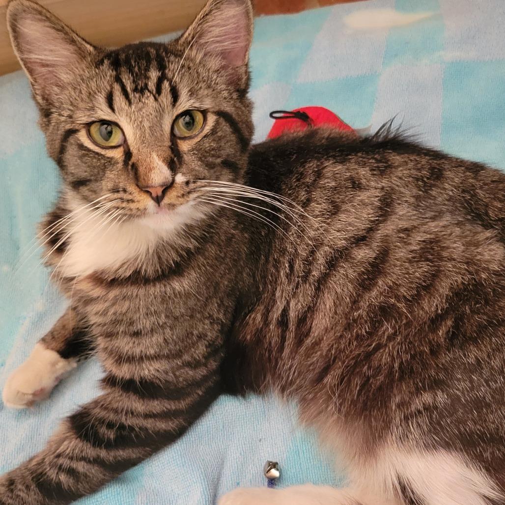 Charlie — thumbnail 2