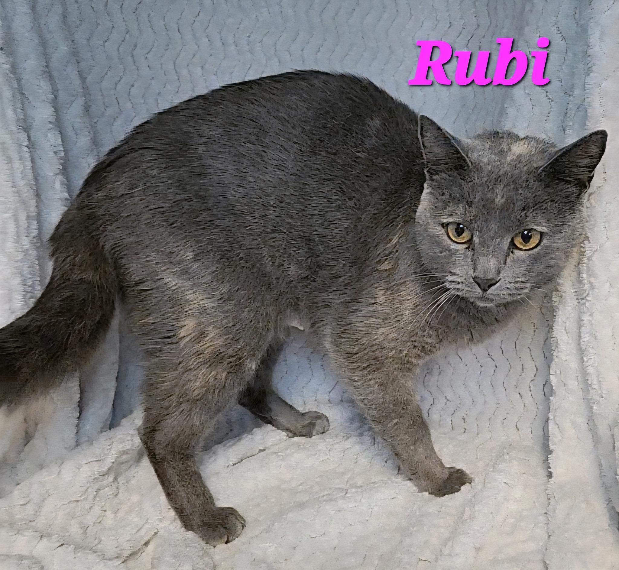 Rubi photo 2