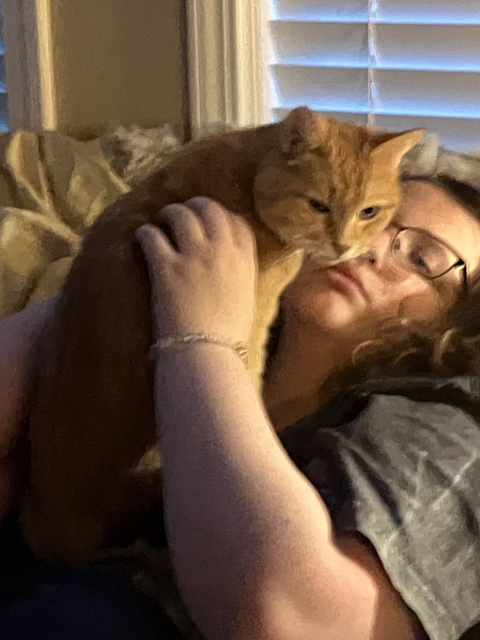 Vickie, a Adoptable Tabby in Hickory, NC image 2/5