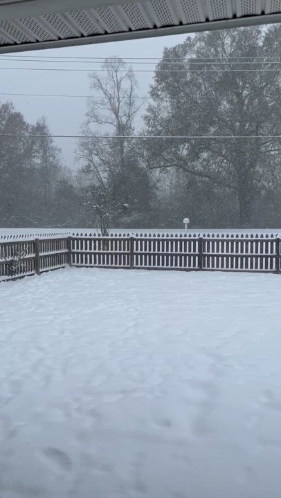 Enlarge Wags, a Adoptable Beagle in Prairieville, LA video 6/6