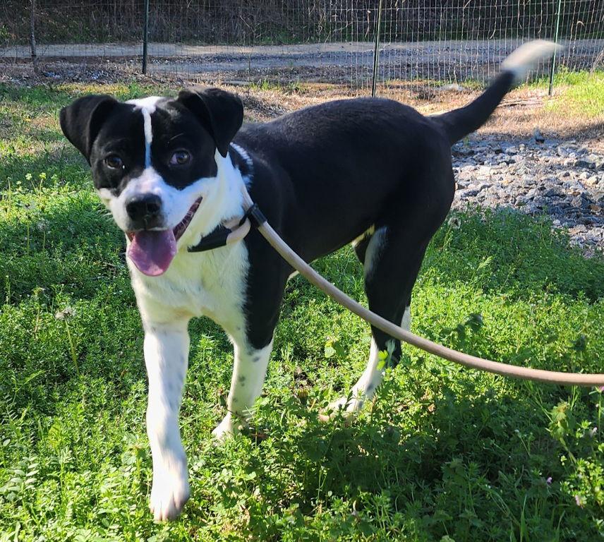 252040 Pennywise — thumbnail 3