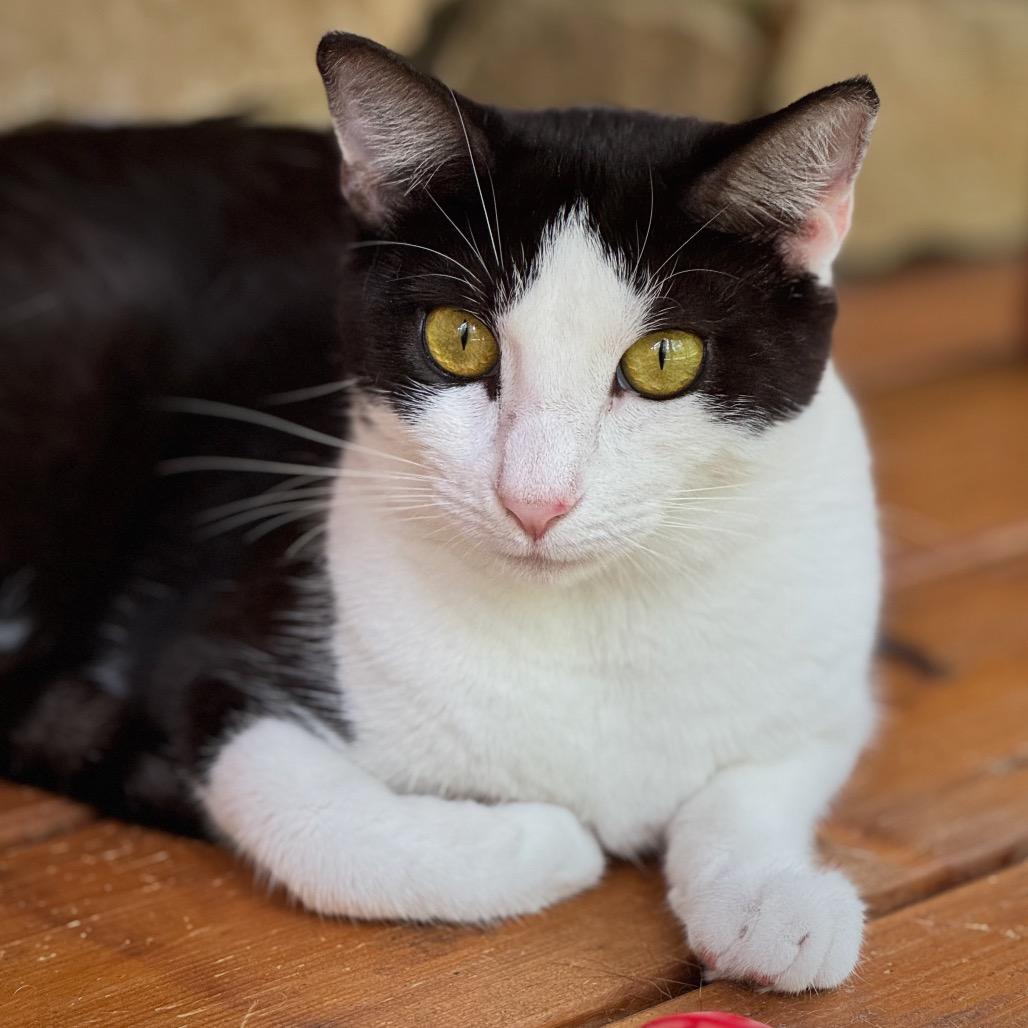 Nari — thumbnail 2