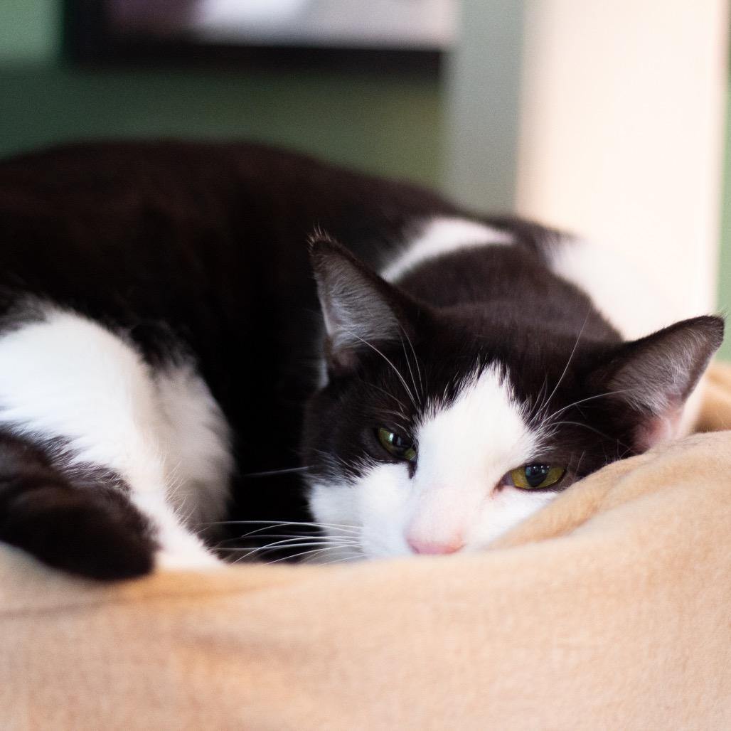 Nari — thumbnail 3