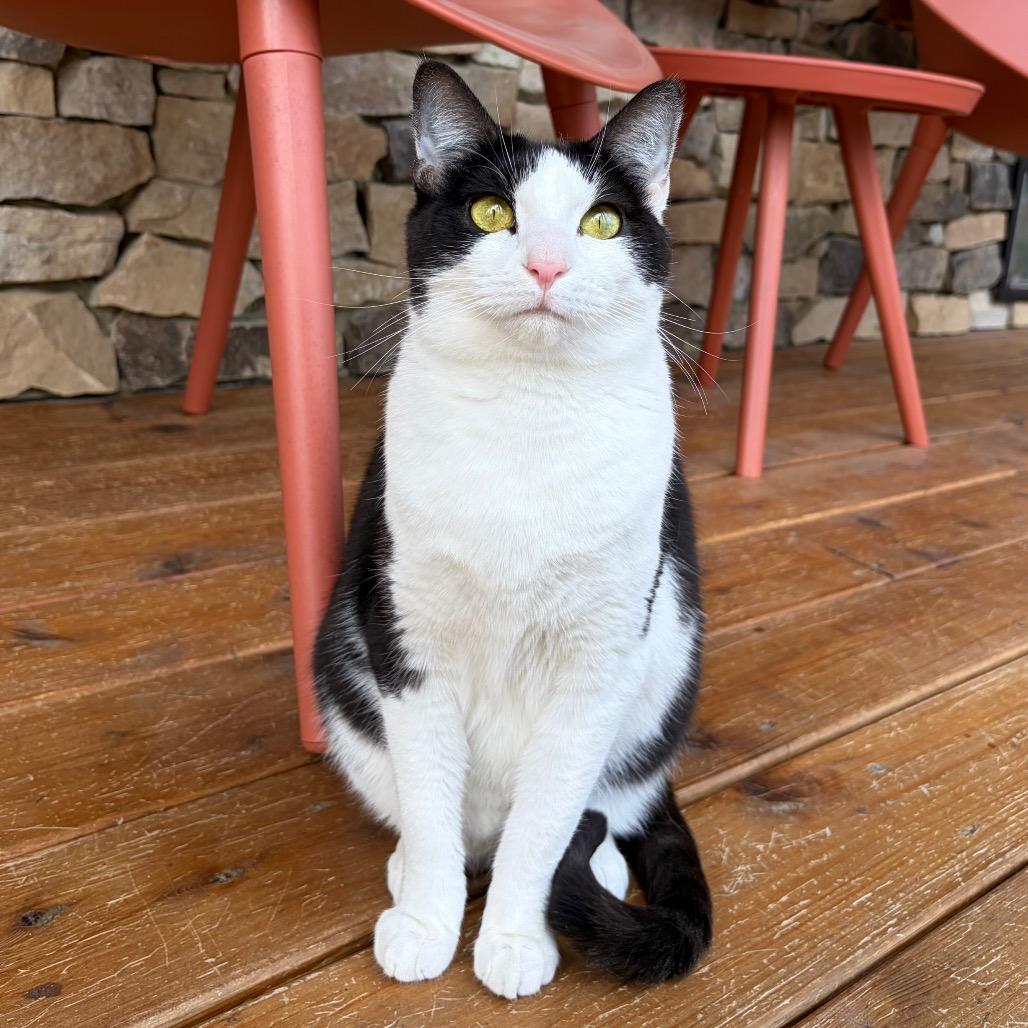 Nari — thumbnail 5