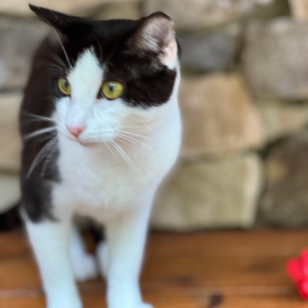 Nari — thumbnail 6