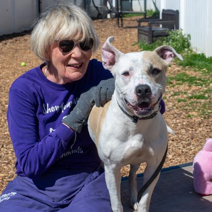 Enlarge Melrose, a Adoptable Mixed Breed in Chamblee, GA image 1/3