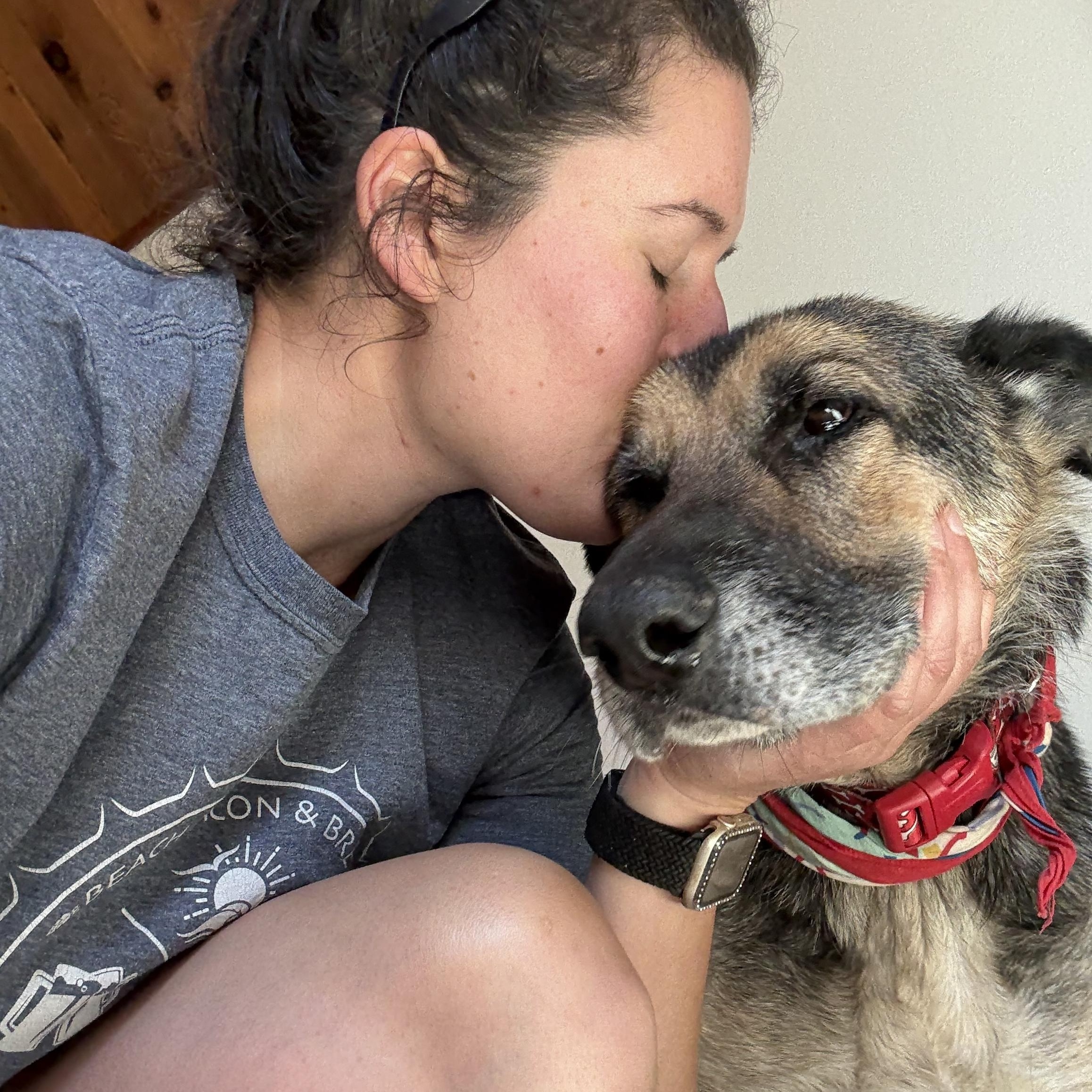 Einstein, an adoptable German Shepherd Dog in Otis, OR, 97368 | Photo Image 5