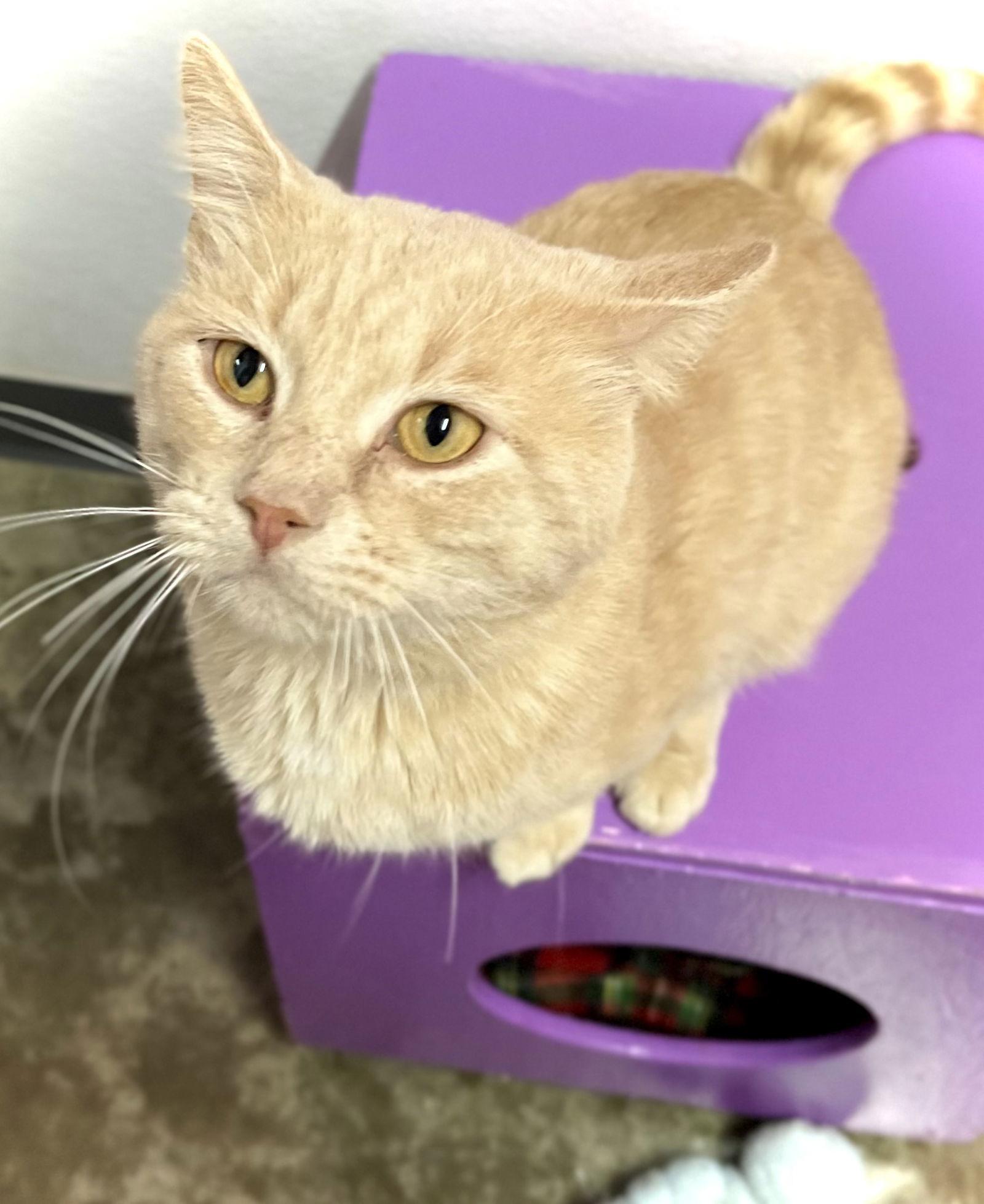 Theo J — thumbnail 2