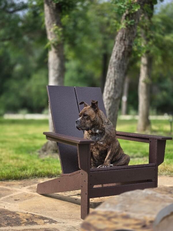 Apple Connie professional lovebug — thumbnail 4