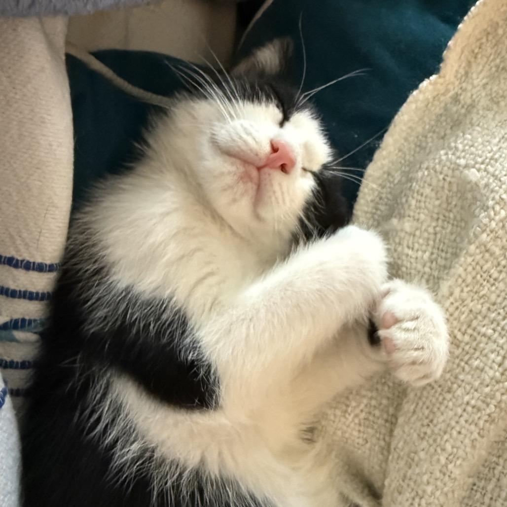 Sirius 2 — thumbnail 4