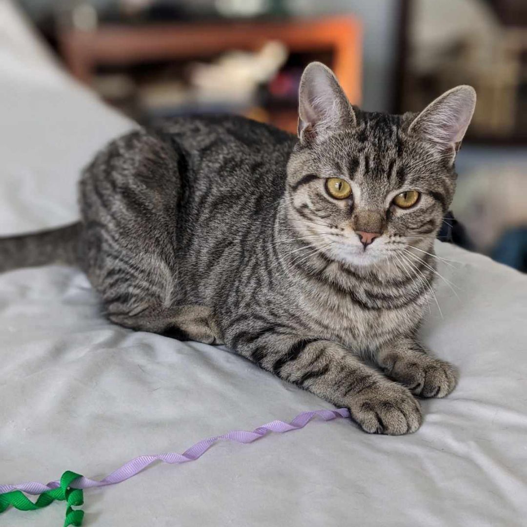 Charlie photo 2