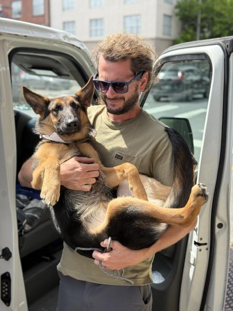 Gianna, an adopted German Shepherd Dog in New Orleans, LA image 3/6