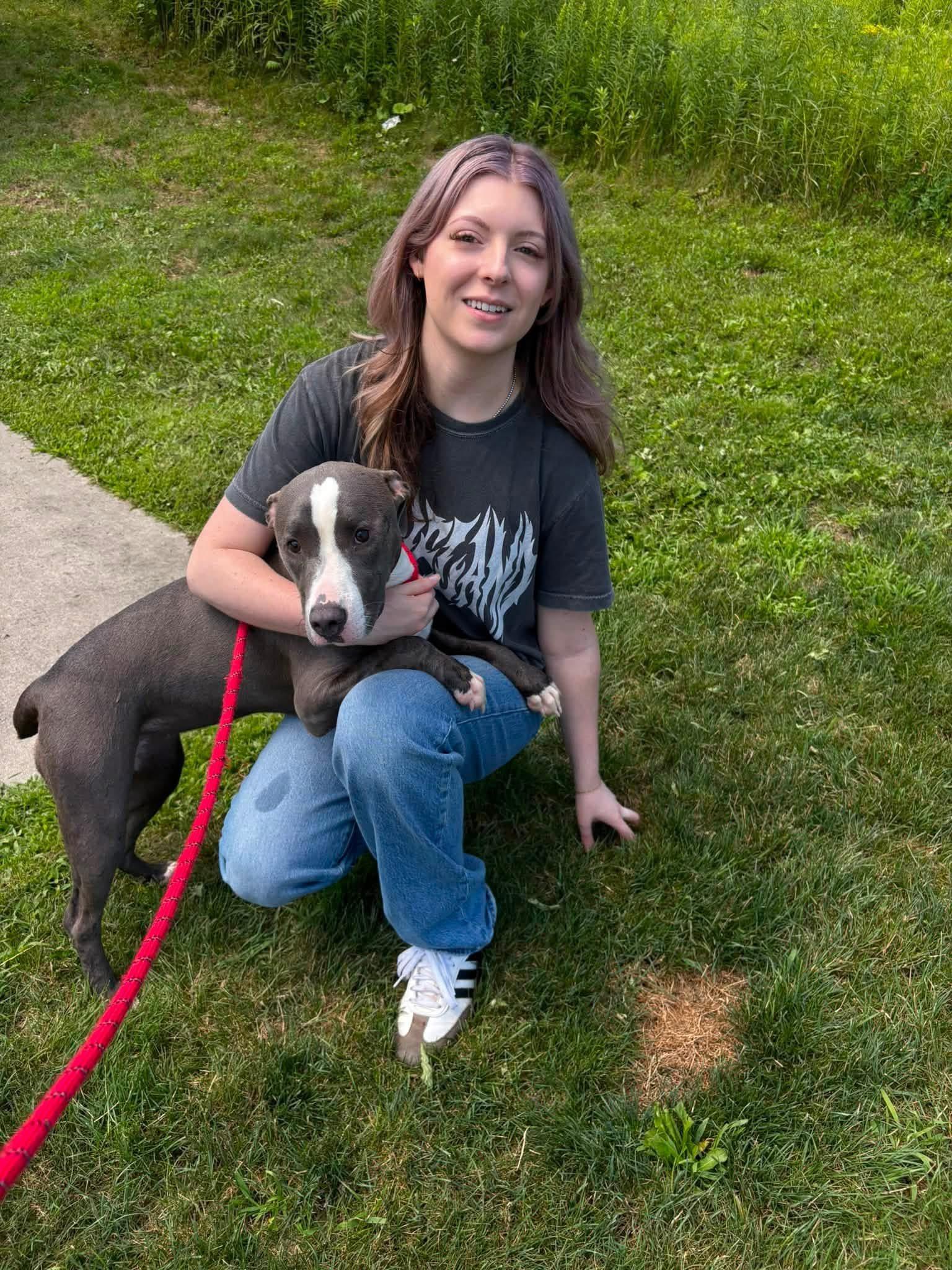 Kendal, a ADOPTABLE mixed breed in Youngstown, OH image 5/6