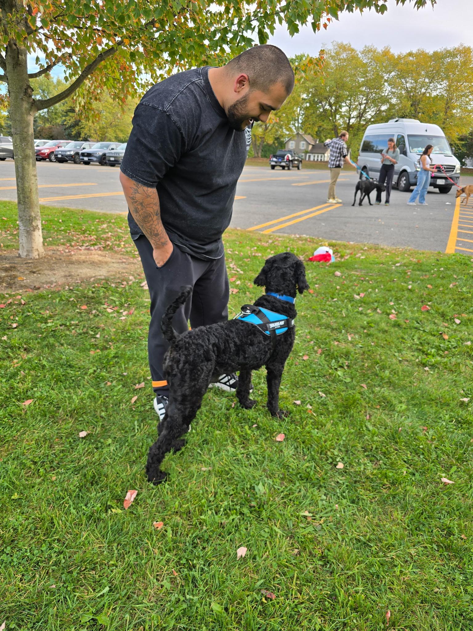 Frankie: Foster-to-adopt available, an adoptable Labradoodle in Rochester, NY, 14609 | Photo Image 5