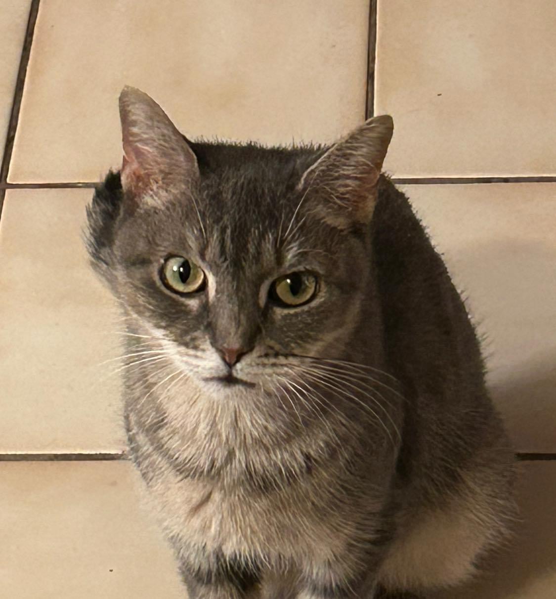 Miss Daisy thumbnail 6