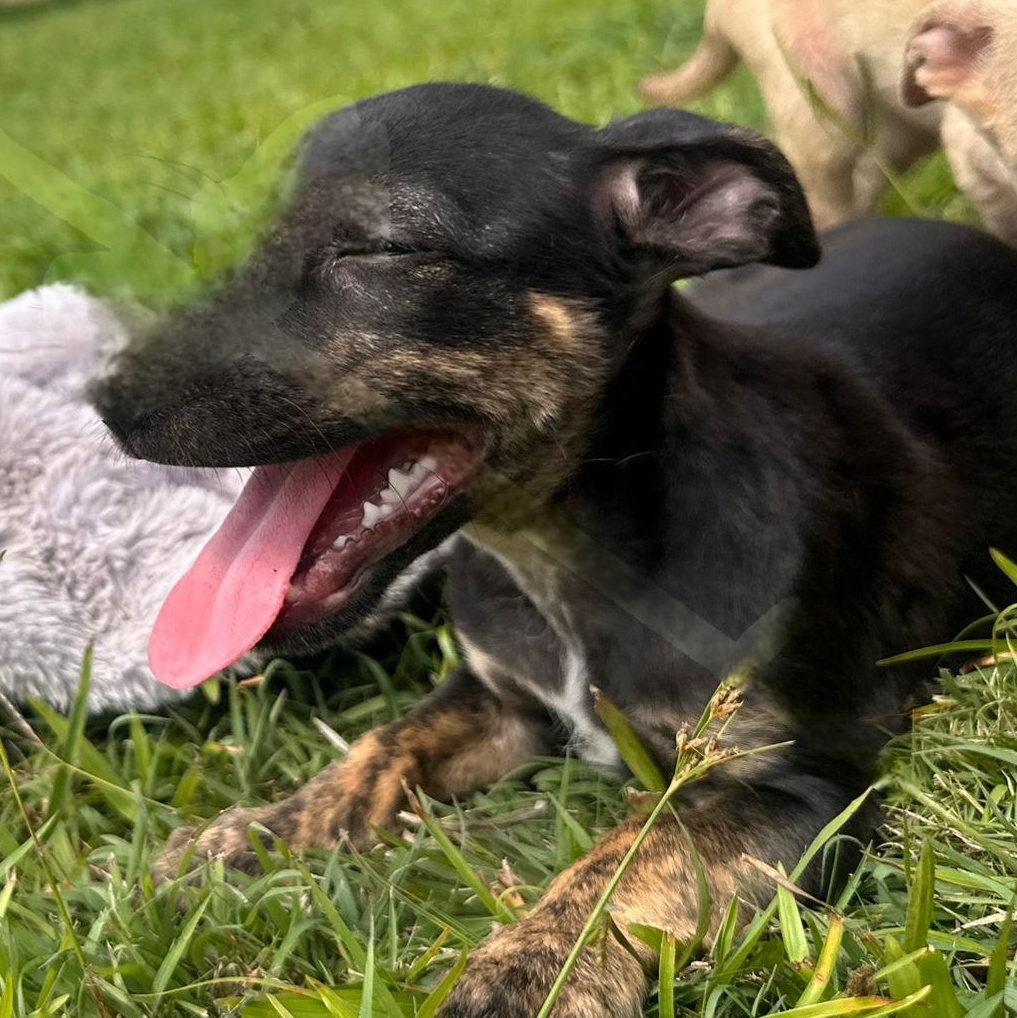 Darky "today Is The thumbnail 3