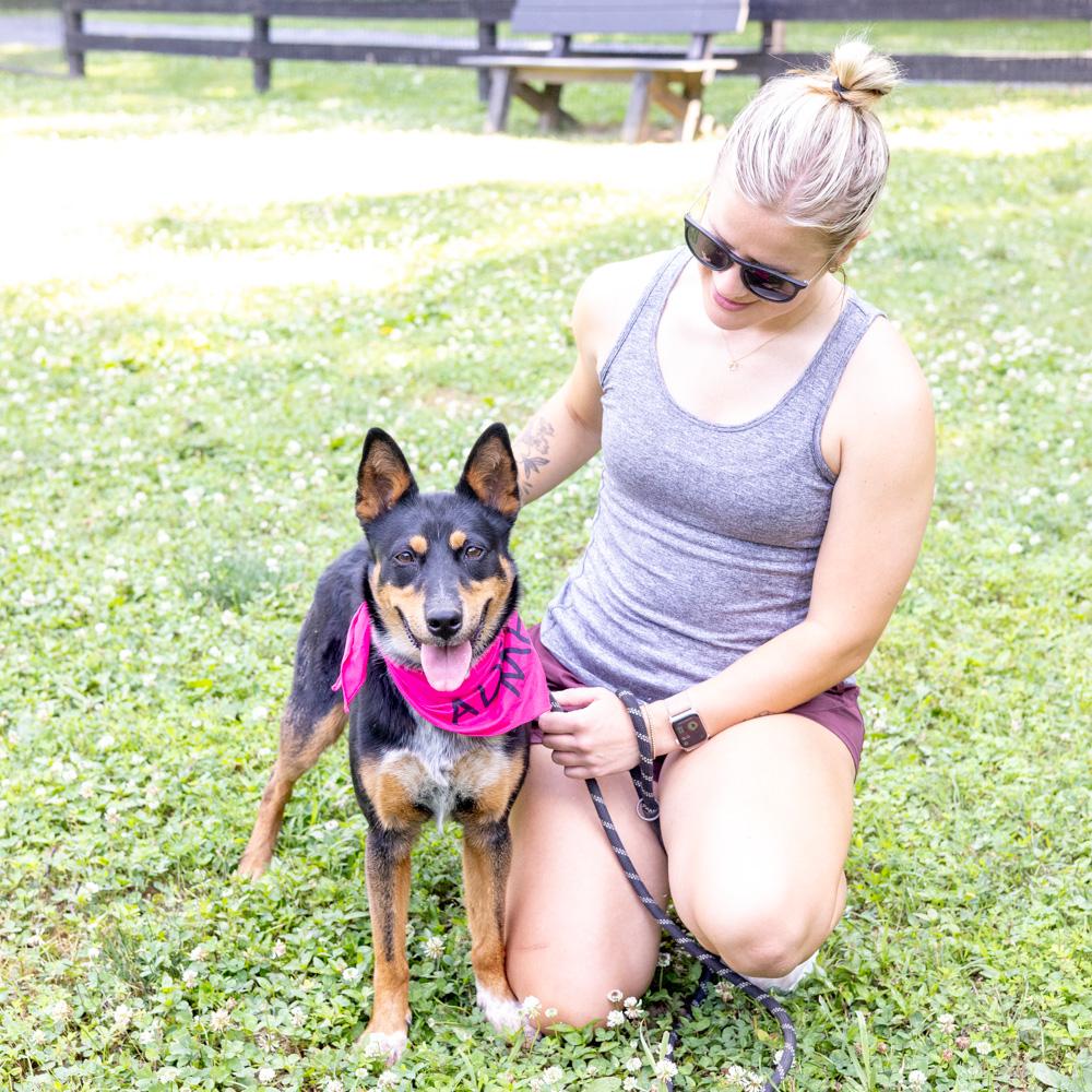 Enlarge Zoey (Female) - Adoption fee sponsored by a friend of Greenmore., a Adoptable mixed breed in West Grove, PA image 6/6