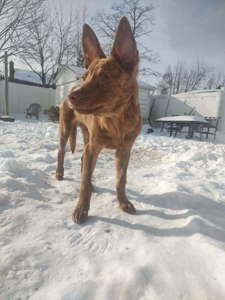 Bright Eyes thumbnail 4