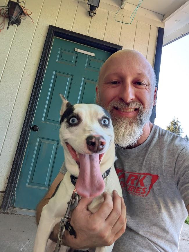 Enlarge Oswald, a Adoptable mixed breed in Tigard, OR image 3/3