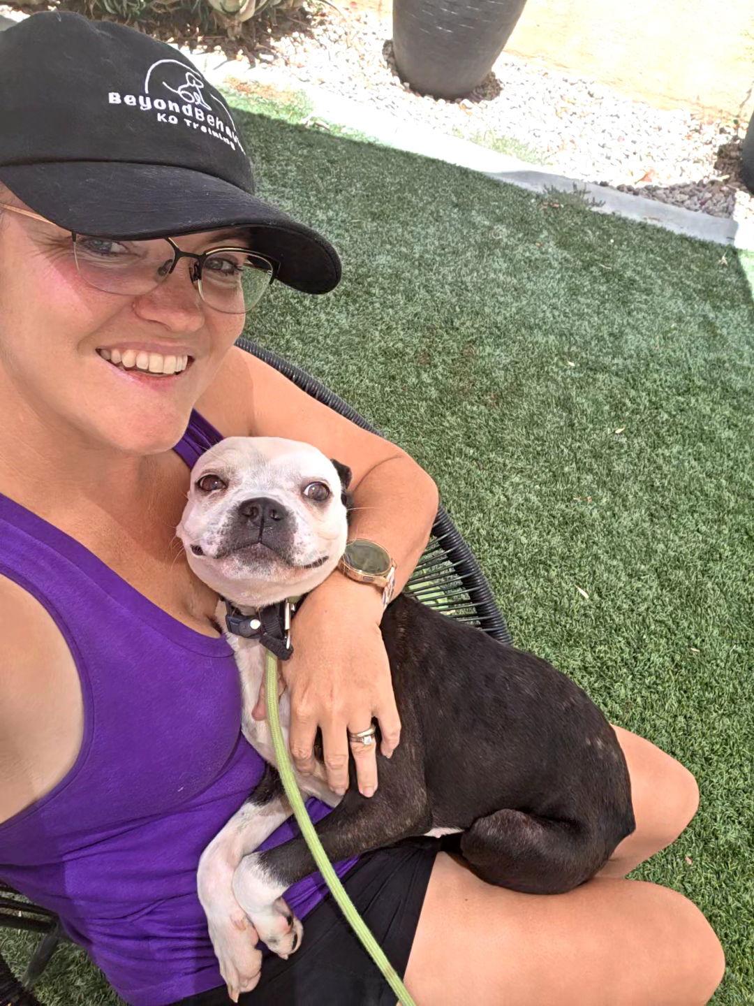 Enlarge Mustang, a Adopted Boston Terrier in Huntington Beach, CA image 3/3