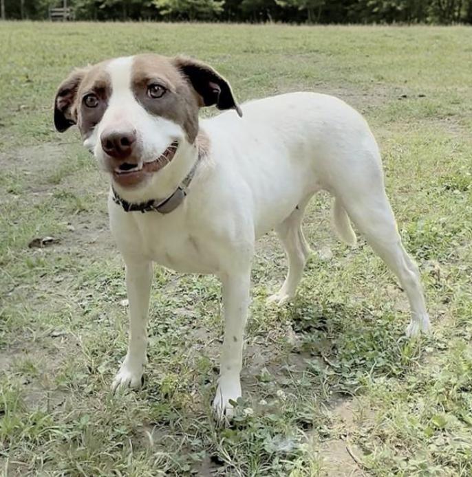 Isabella — thumbnail 3