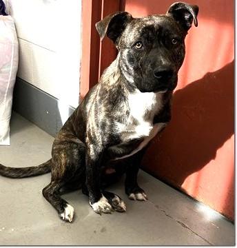 Novocaine   Beautiful thumbnail 2