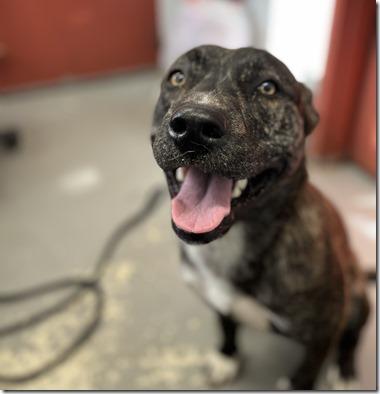 Novocaine   Beautiful thumbnail 4