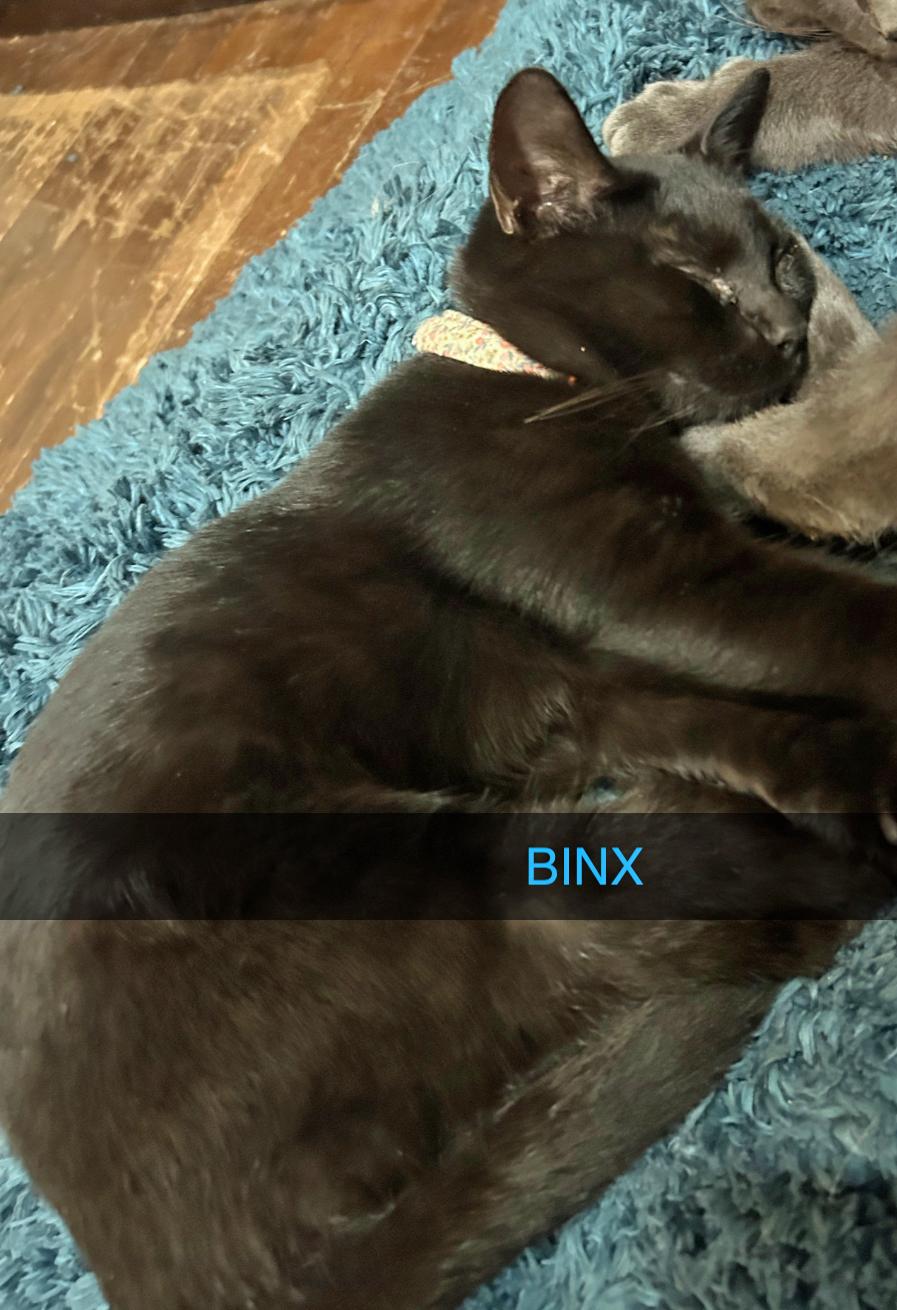 Mr. Binx