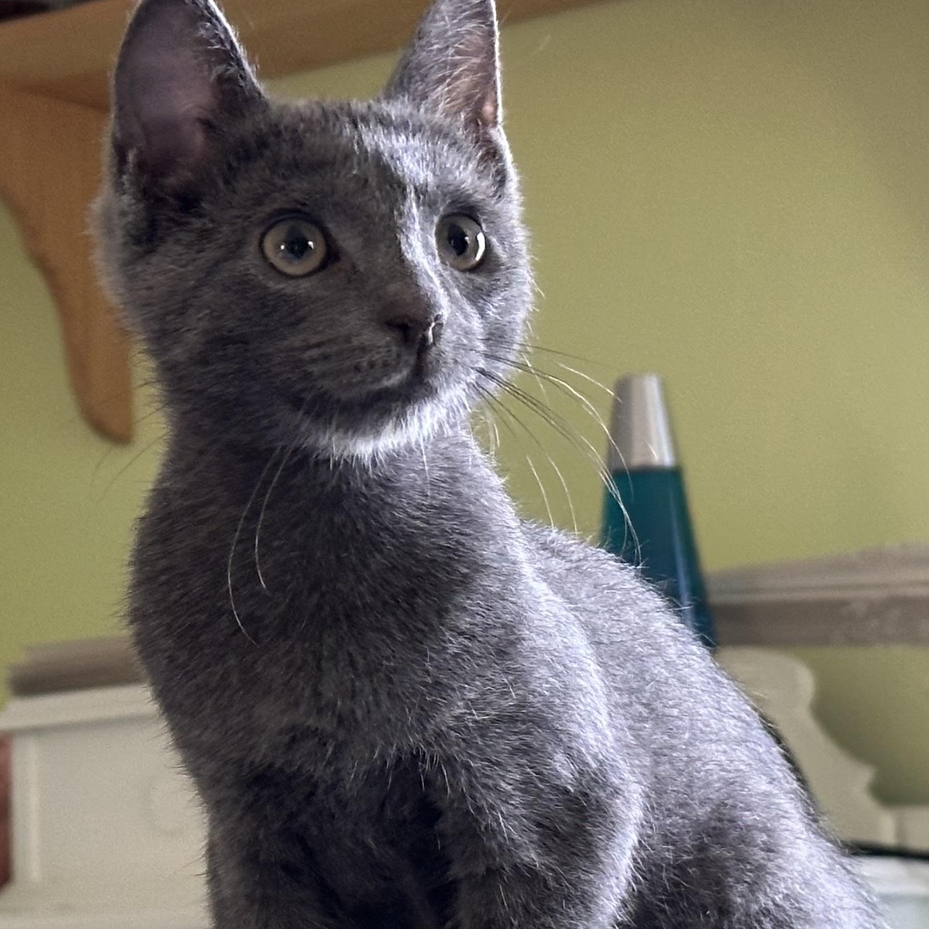 Cadbury