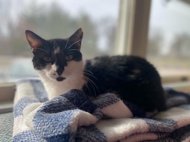 Maleficent, Senior Female unknown