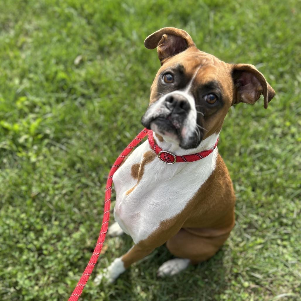 Charlie photo