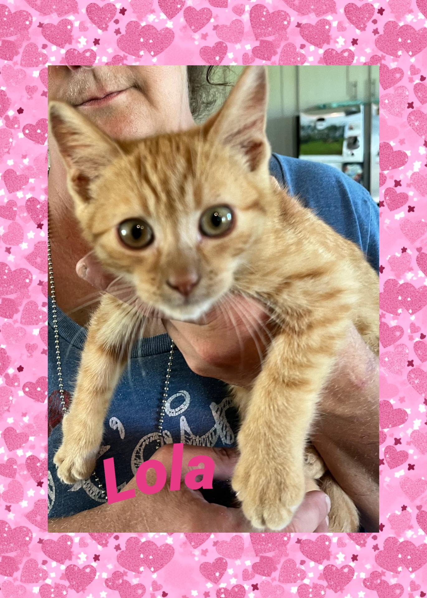 Lola