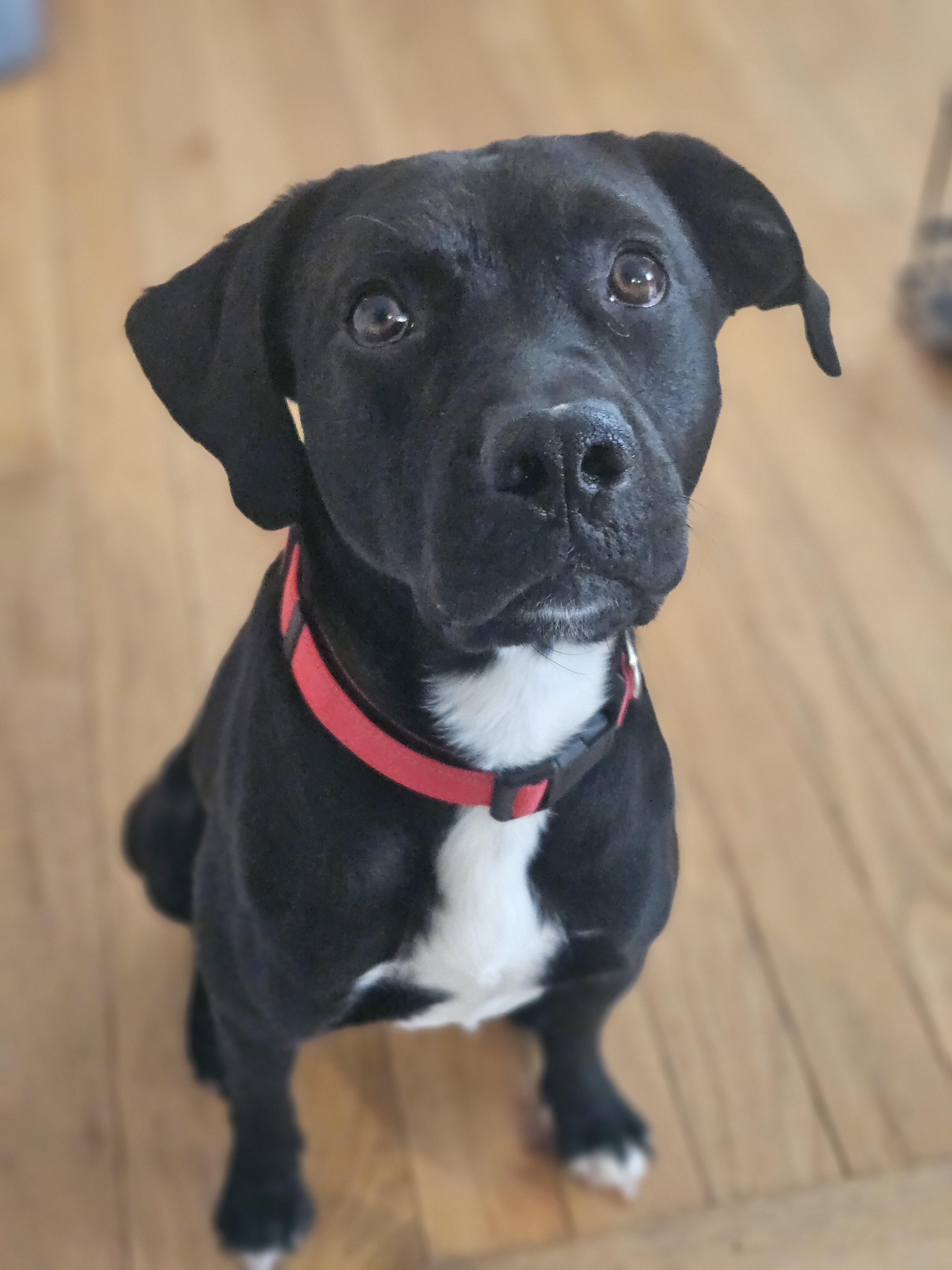 Lightning — thumbnail 2