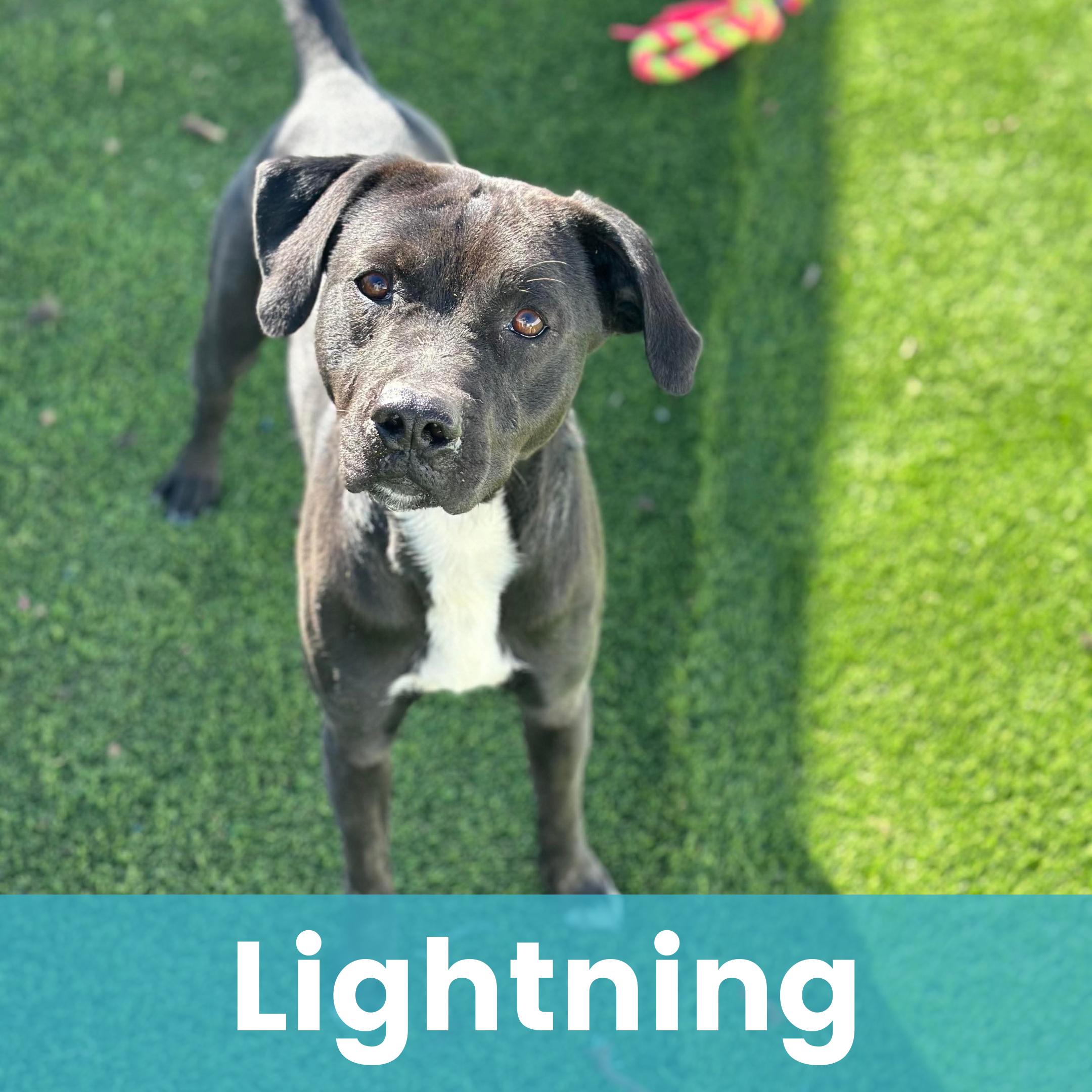 Lightning — thumbnail 3