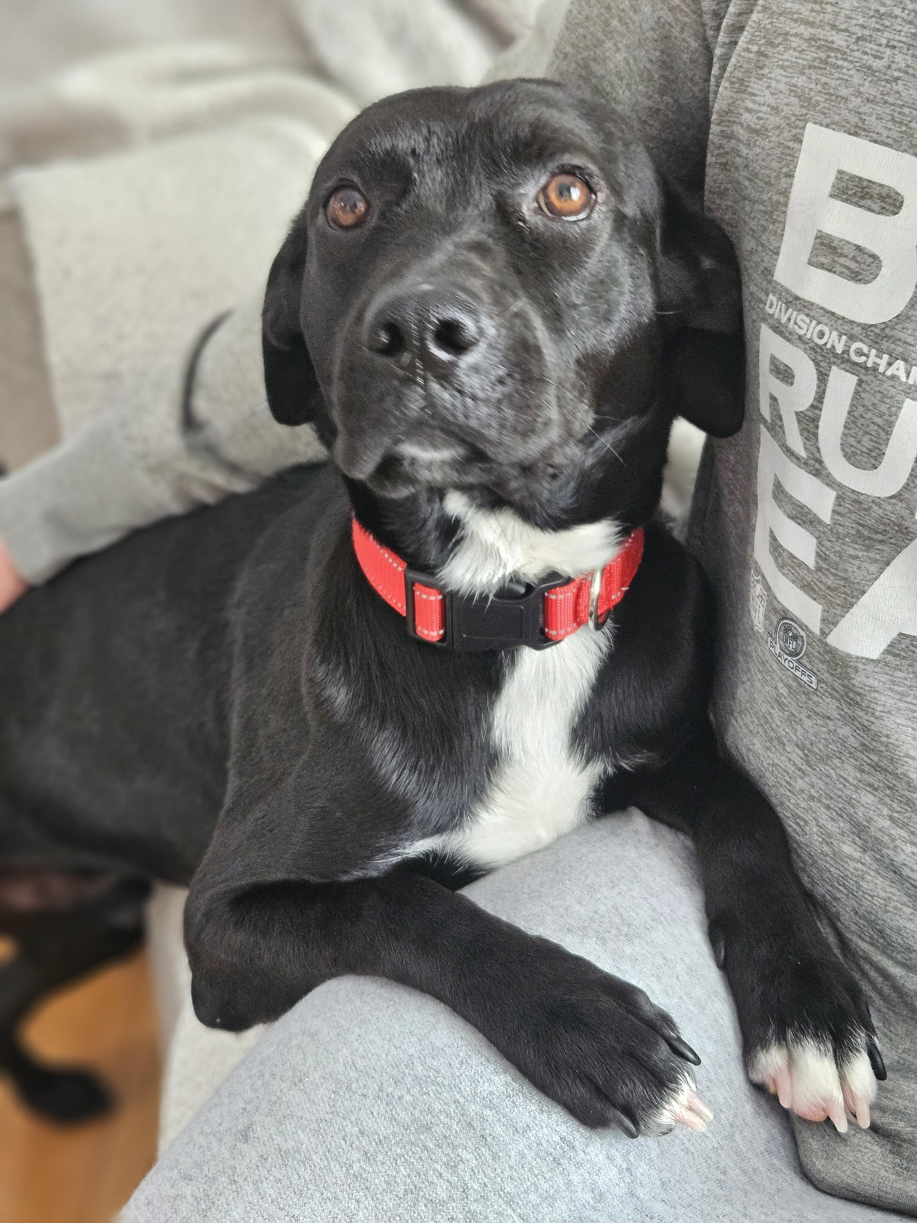 Lightning — thumbnail 4