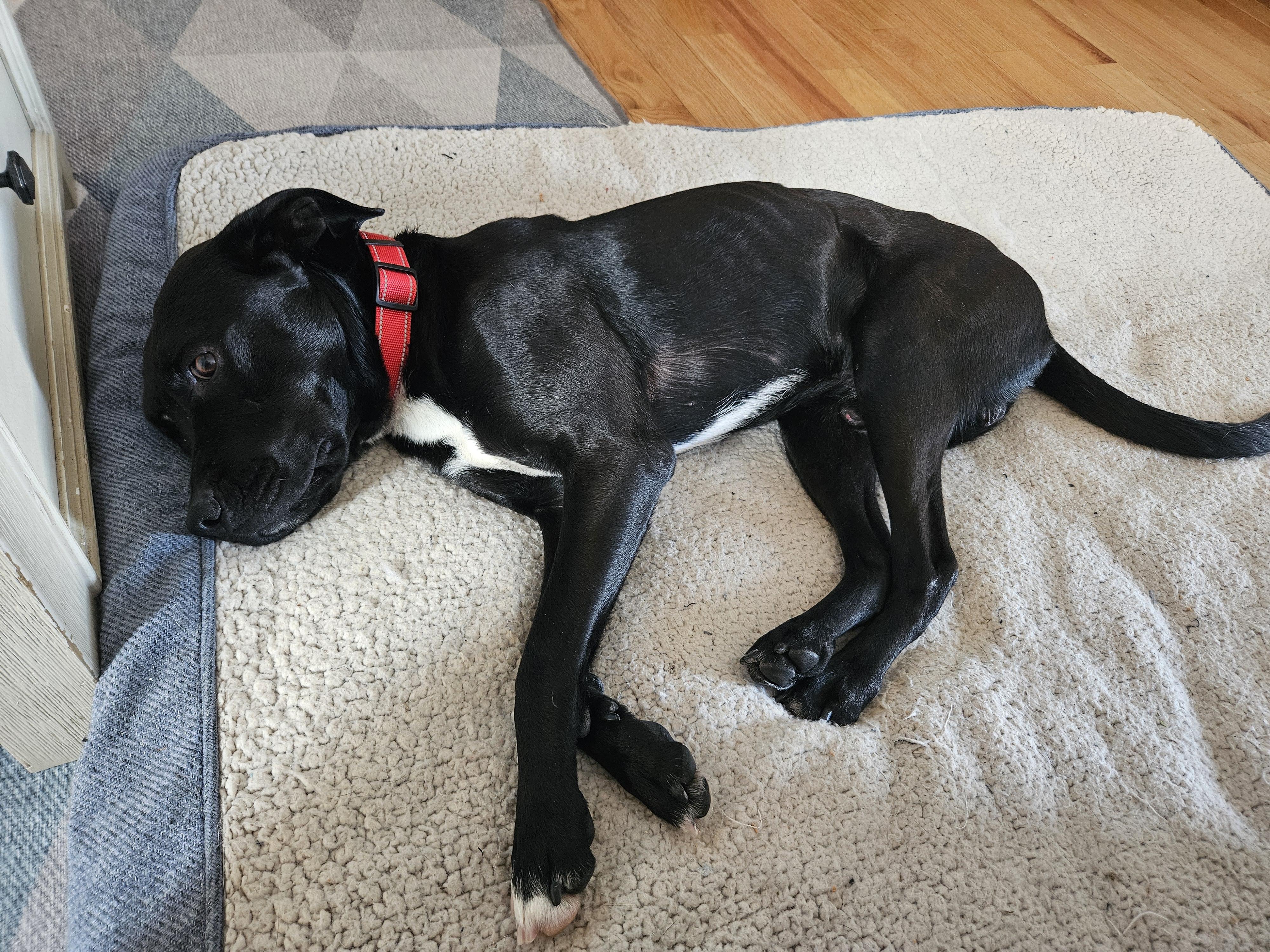 Lightning — thumbnail 5