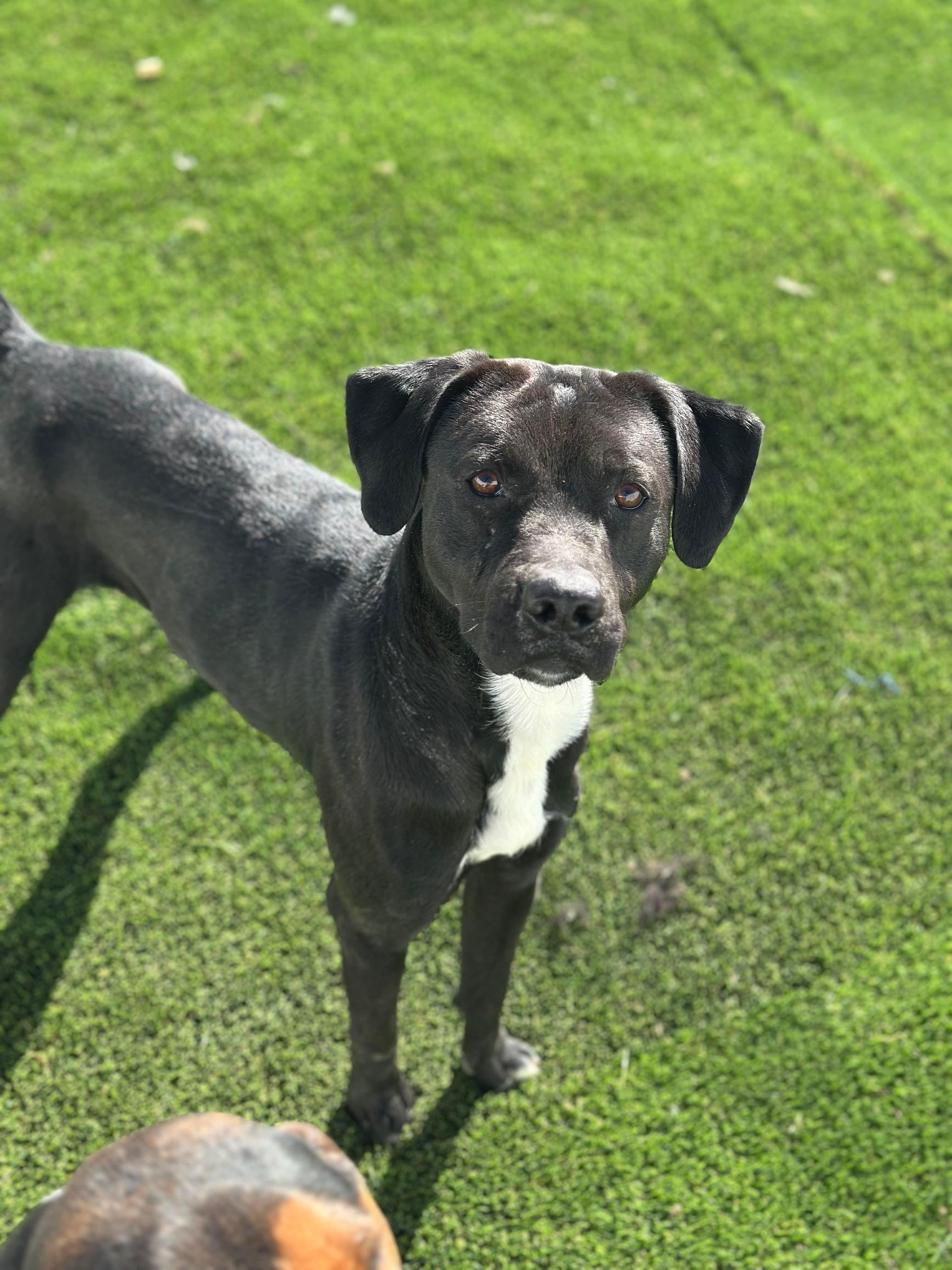 Lightning — thumbnail 6