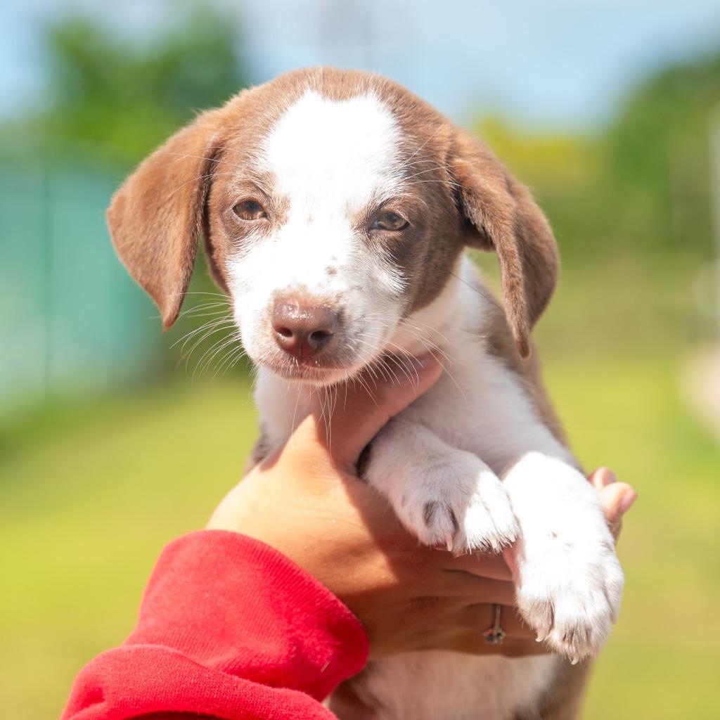 Toot Toot thumbnail 2