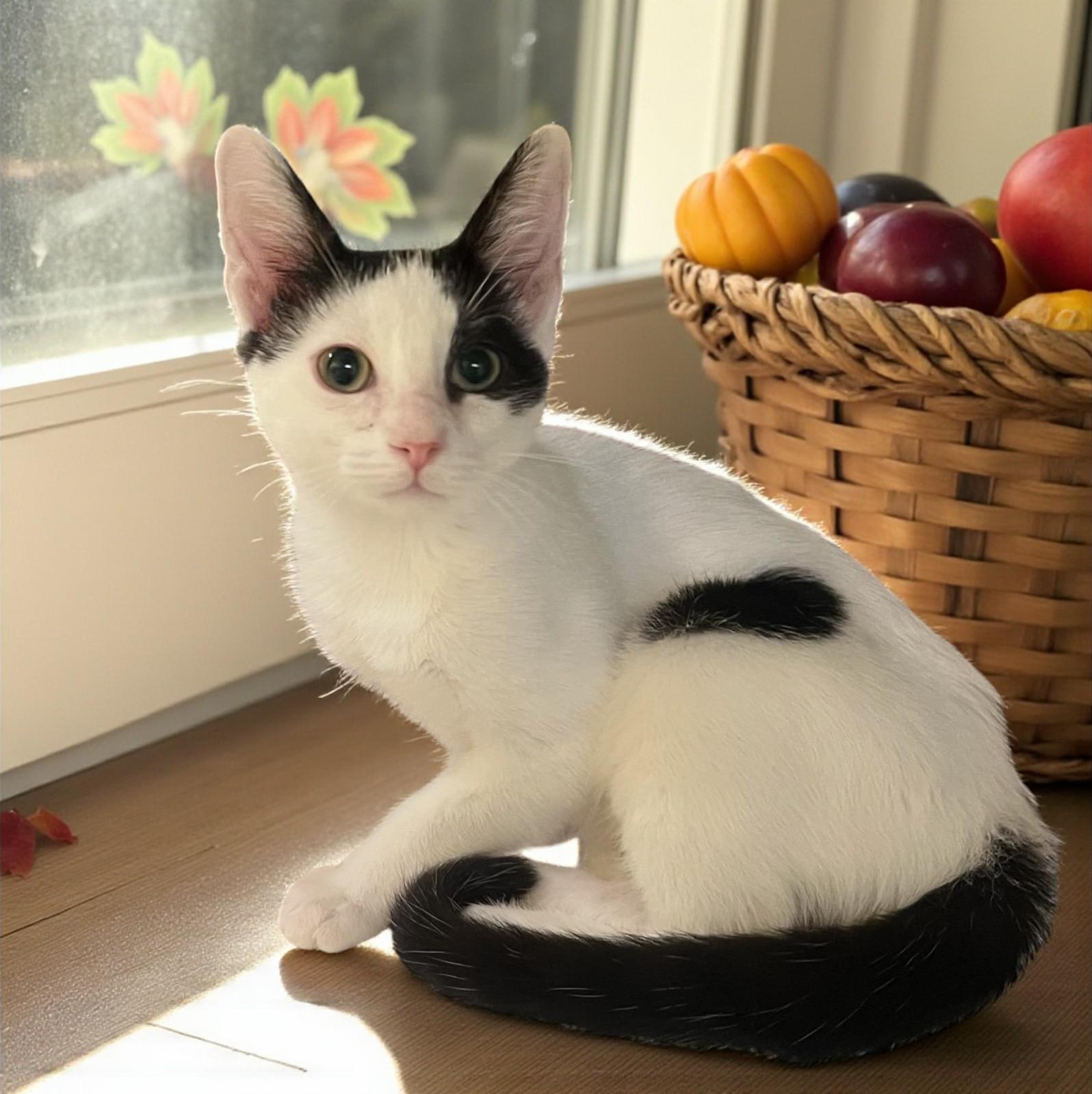 Lu'lemona Dash Of Sass thumbnail 2