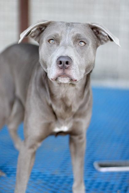 Sylvie — thumbnail 3