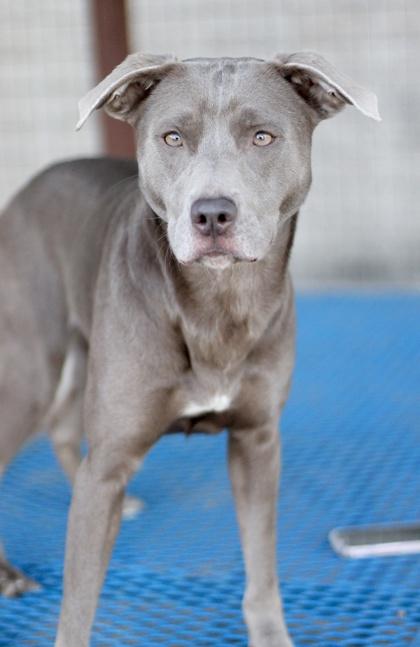 Sylvie — thumbnail 6