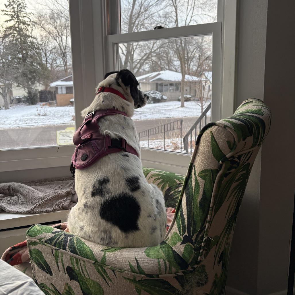 Aunt Daisy D67266 — thumbnail 4