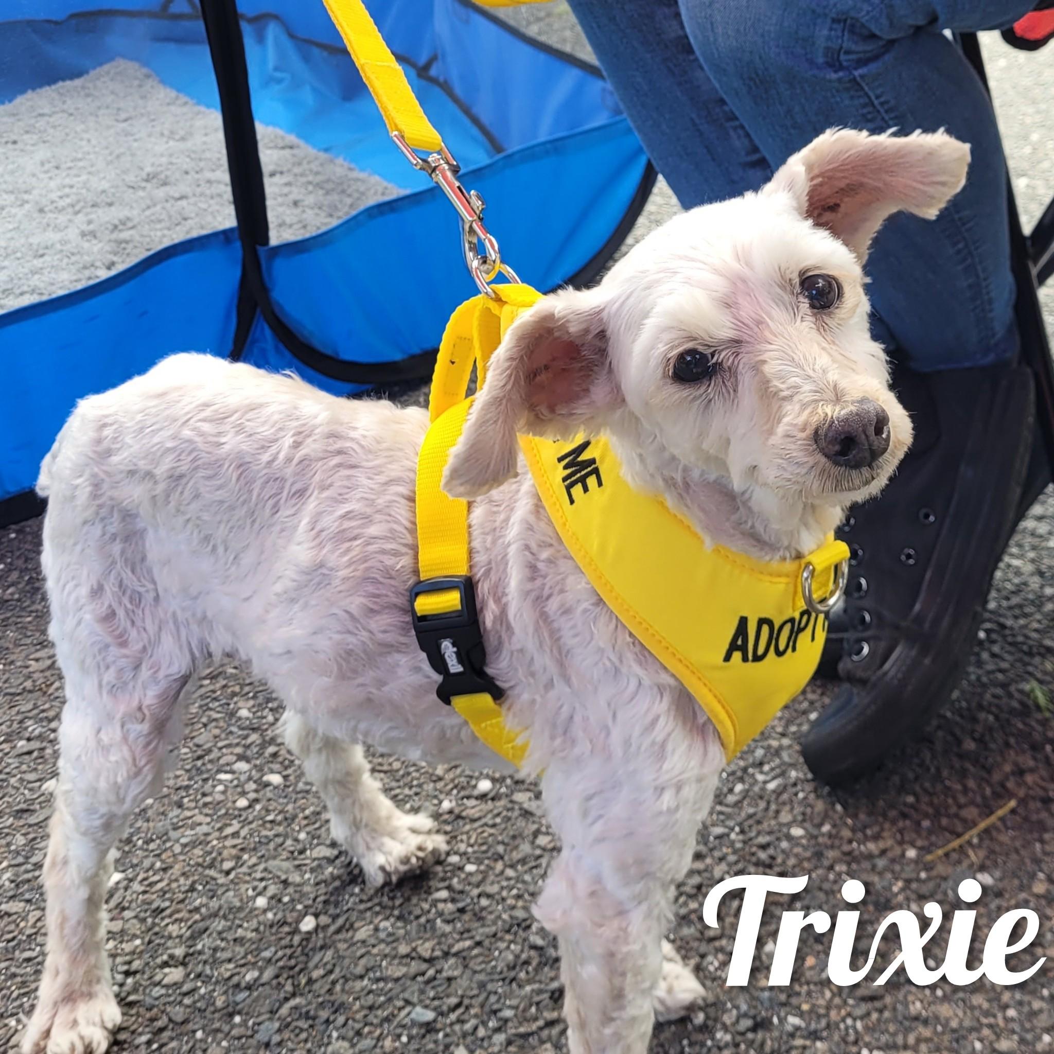 Trixie