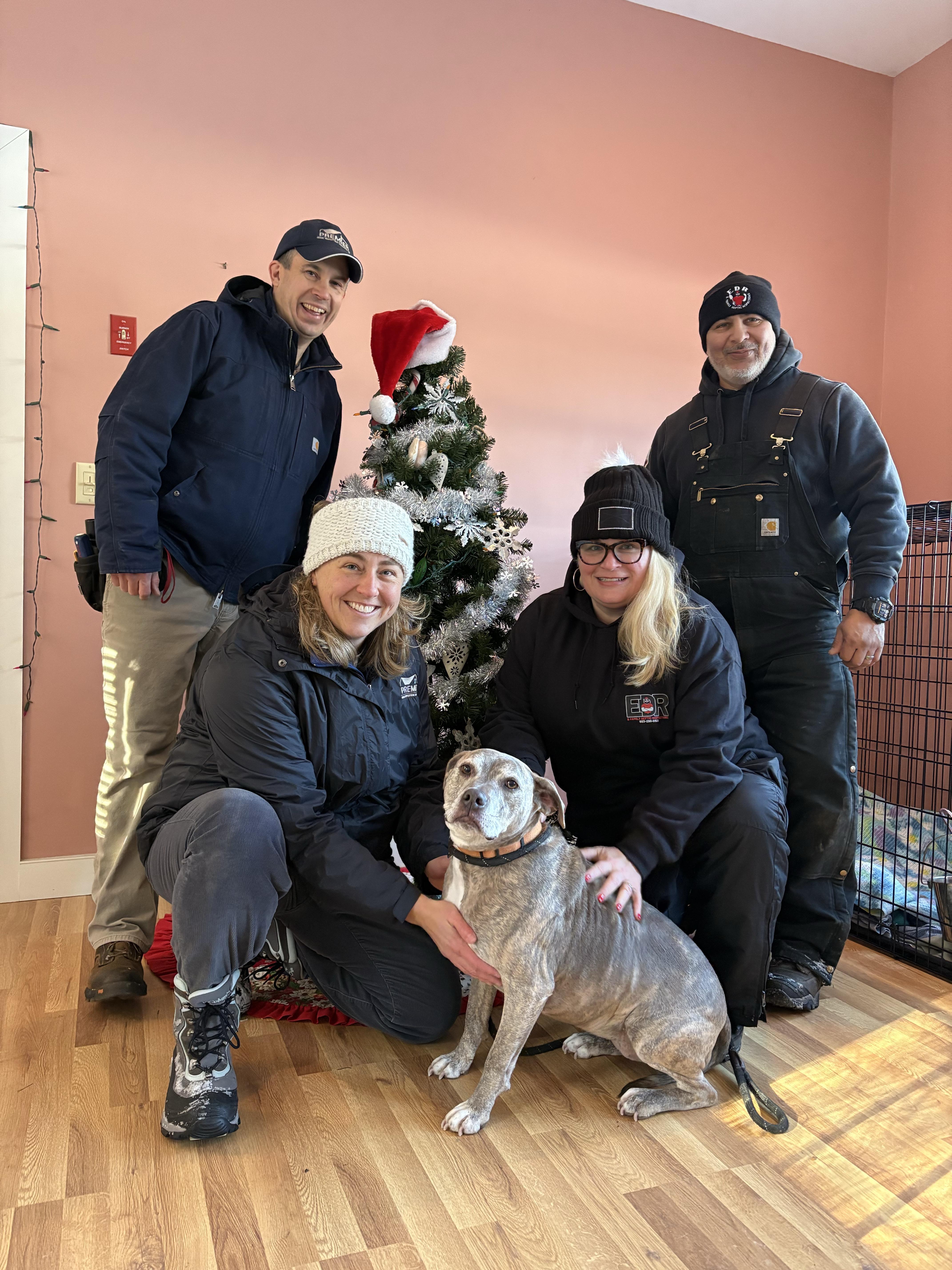 Minni, a ADOPTABLE mixed breed in New Boston, NH image 5/6