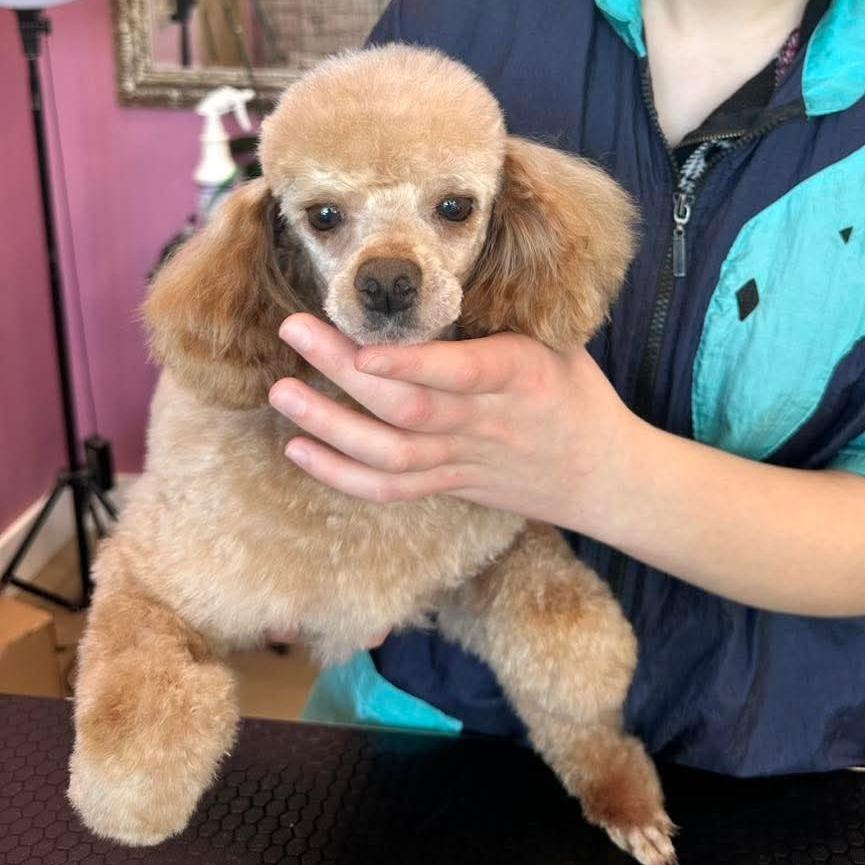 Rusty — thumbnail 2