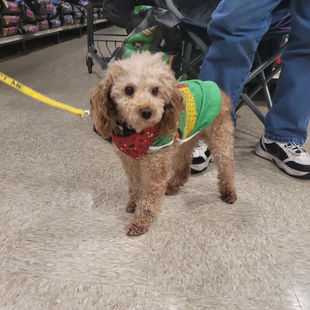 Rusty — thumbnail 5