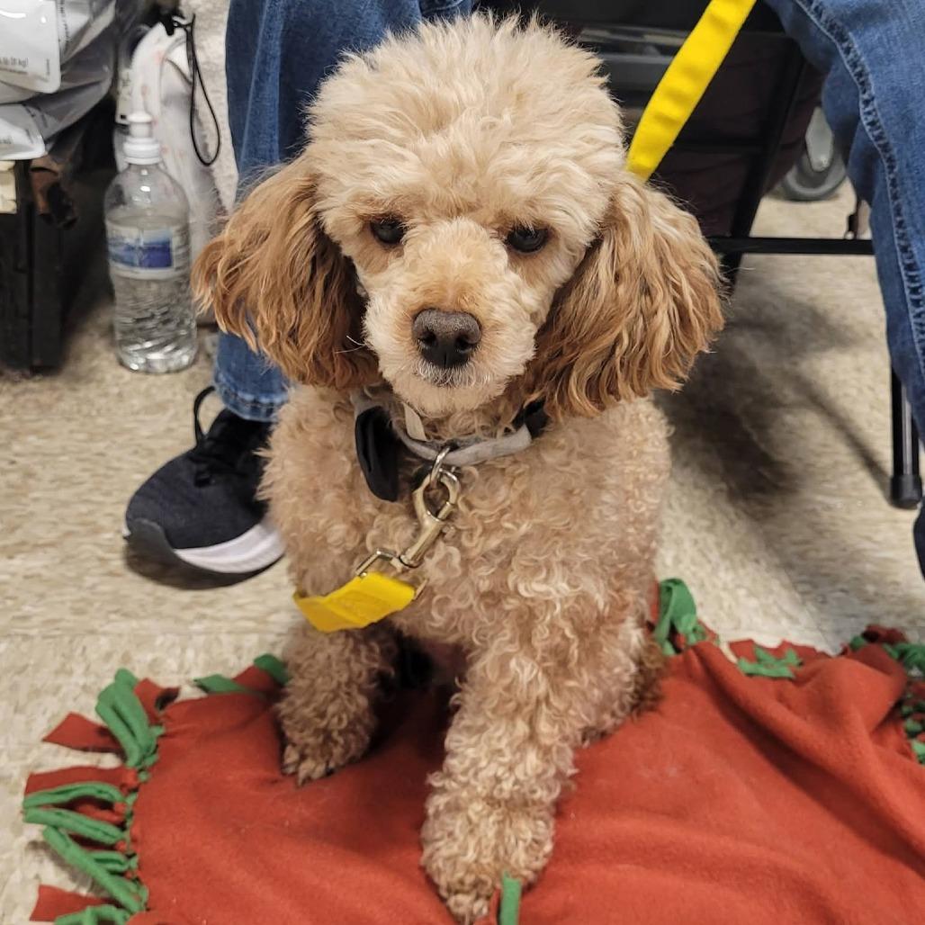 Rusty — thumbnail 6