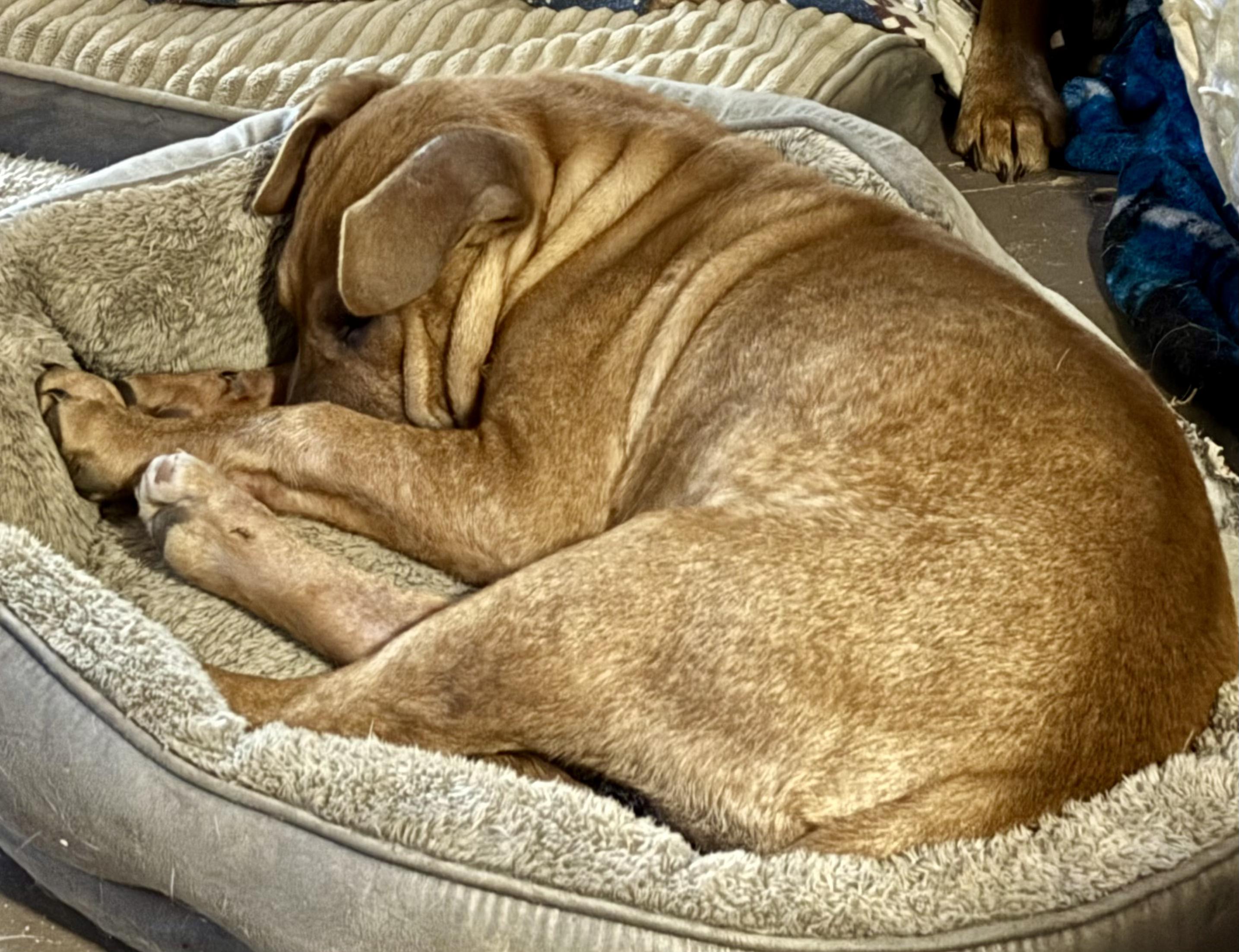 Ember — thumbnail 3