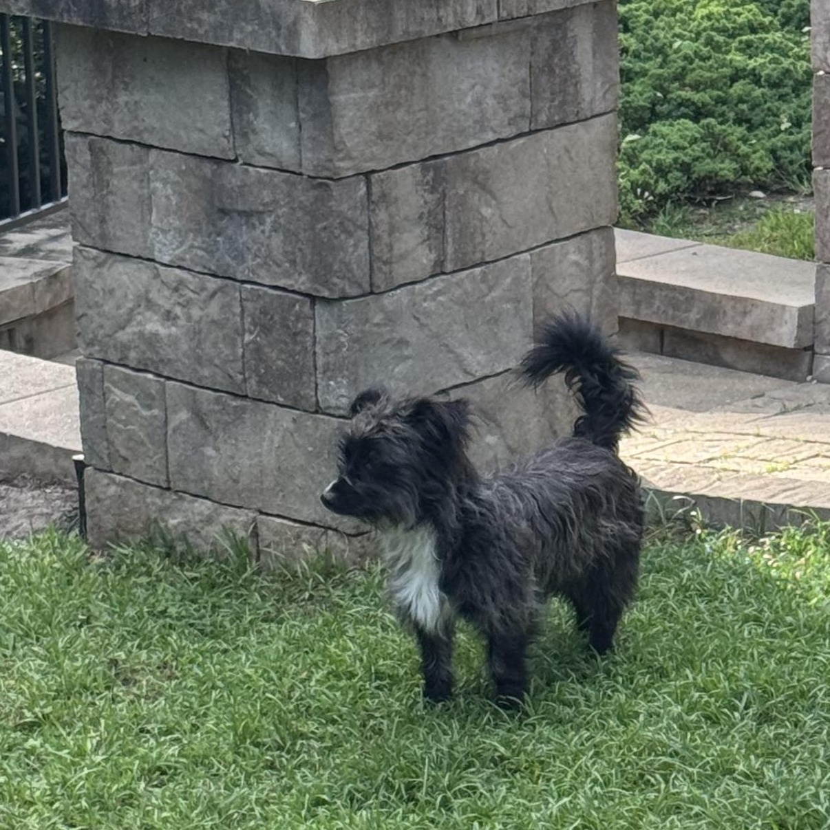 Winchester thumbnail 3