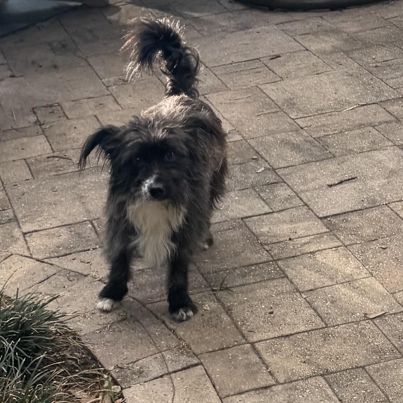 Winchester thumbnail 2